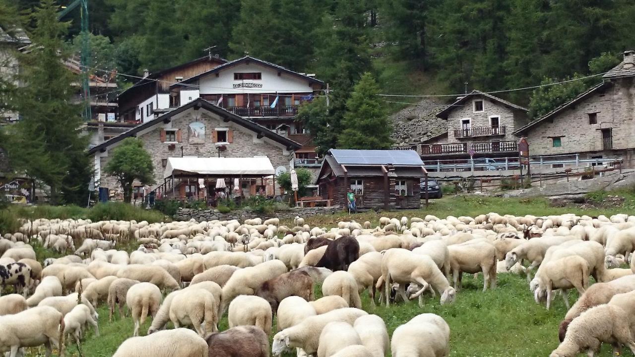 Chalet Del Lago Ceresole Reale Ngoại thất bức ảnh