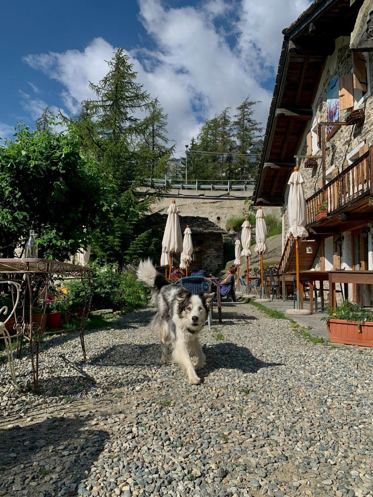 Chalet Del Lago Ceresole Reale Ngoại thất bức ảnh