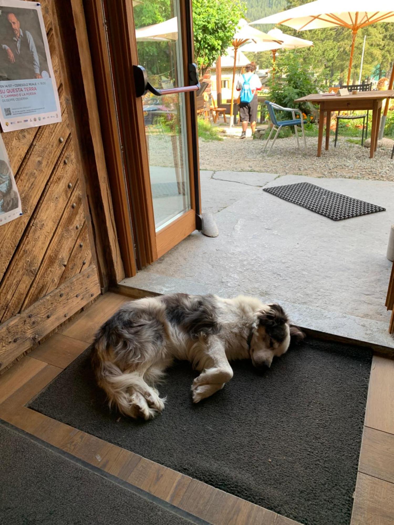 Chalet Del Lago Ceresole Reale Ngoại thất bức ảnh